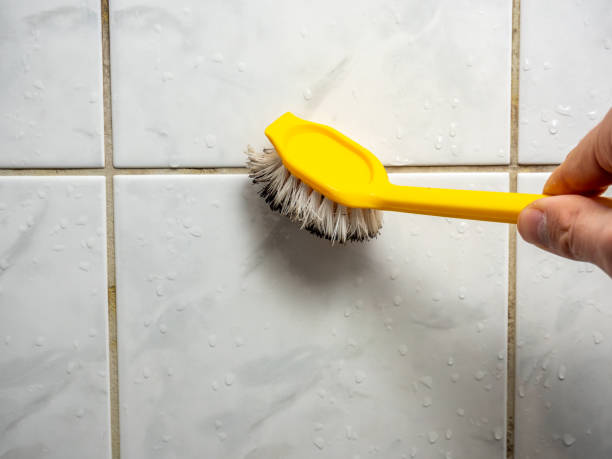 Best Mold Remediation Experts  in Homeland, CA