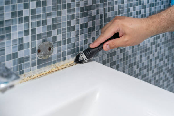 Mold Testing and Removal in Homeland, CA