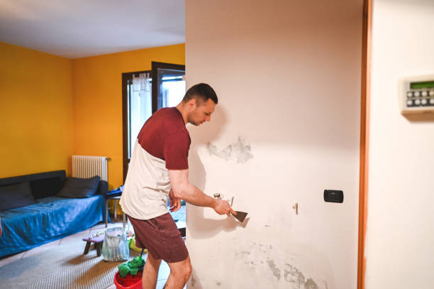 Homeland, CA Mold Removal Company